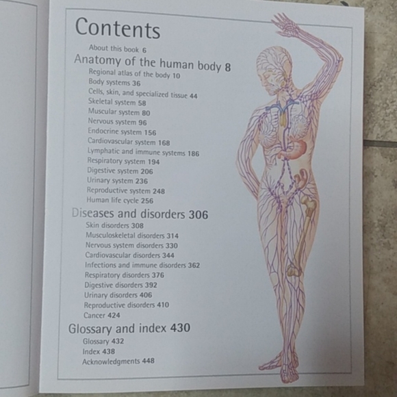 Human Body Book - Picture 5 of 5